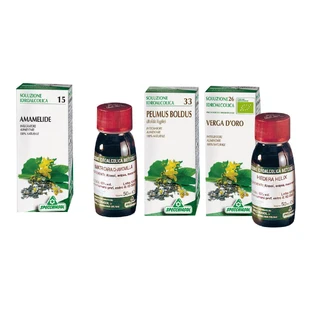 Damiana 29 Moeder Tinctuur 50ml