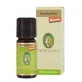ROSMARIN OE 5ML