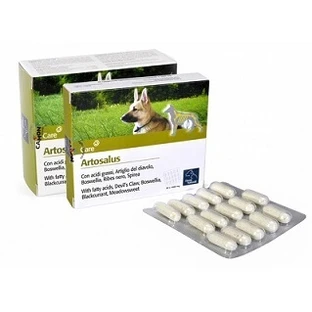 ARTOSALUS ORME NAT 60CPR