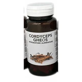 CORDYCEPS GHEOS 90 KAPSELN 540 MG