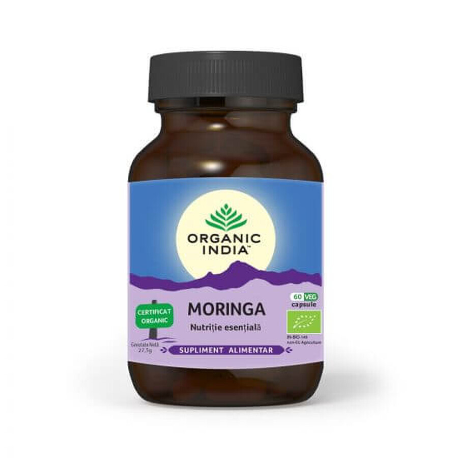 Moringa, 60 gélules, Inde biologique