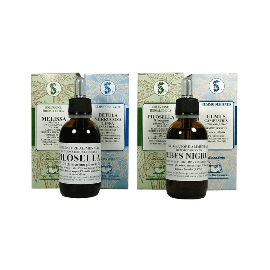Equisetum Arvense 100 Ml Glycerisch Maceraat