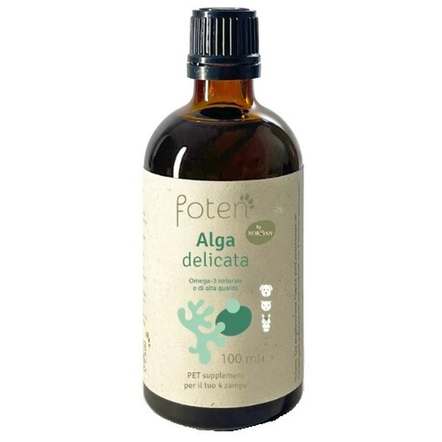 FOTEN ŁAGODNE WODOROSTY 100ML: ceny i cechy