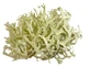 Quercus mușchi în ceai de plante thallus 100 g