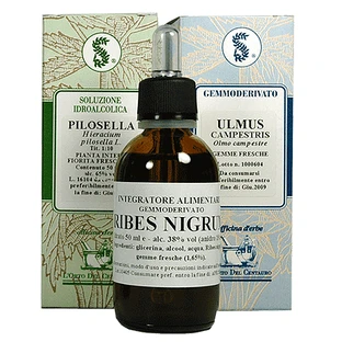 Hazel de vrăjitoare 100 ml picături