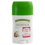 Deostick with sage Femme Chic 50 g, Verre de Nature