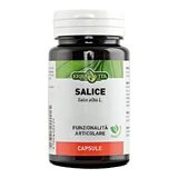 Weide 60 Kapseln 450mg Erbavita