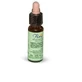 Florit 11 Iep/Olmo Ingl Druppels 10 Ml