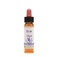 Iepenolie 10 ml 1 Stuk