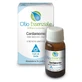 Aceite esencial de cardamomo 5ml