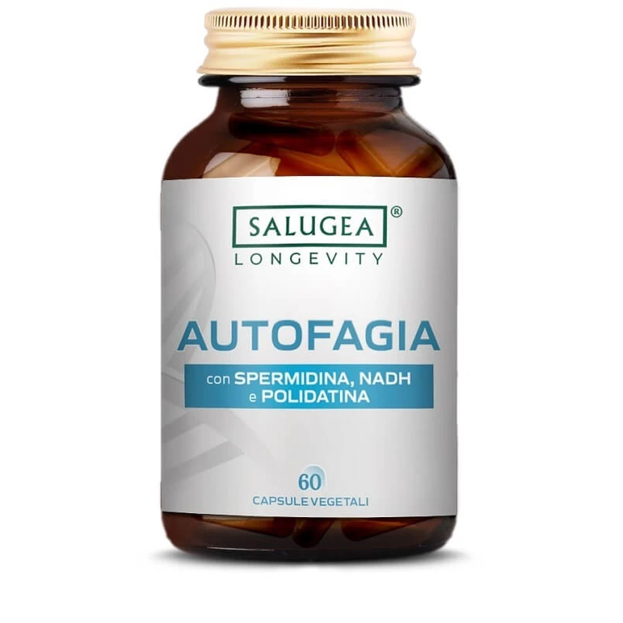 Salugea autofagia 60 kapsułek: ceny i cechy