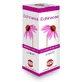 ECHINACEA EINZELPFLANZE FR100