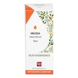 CITROENMELISSE ESSENCE OLIE 10ML