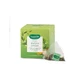 Filtroscrigno Grüner Tee Matcha Ingwer 15 Sachets