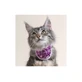BT HALS KAT ROZE