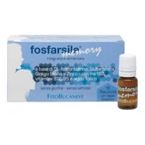 PHOSPHARSILE SPEICHER INT 10FLNI