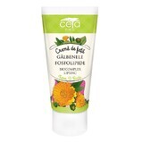 Face cream with marigold extract and phospholipids, 50 ml, Ceta Sibiu