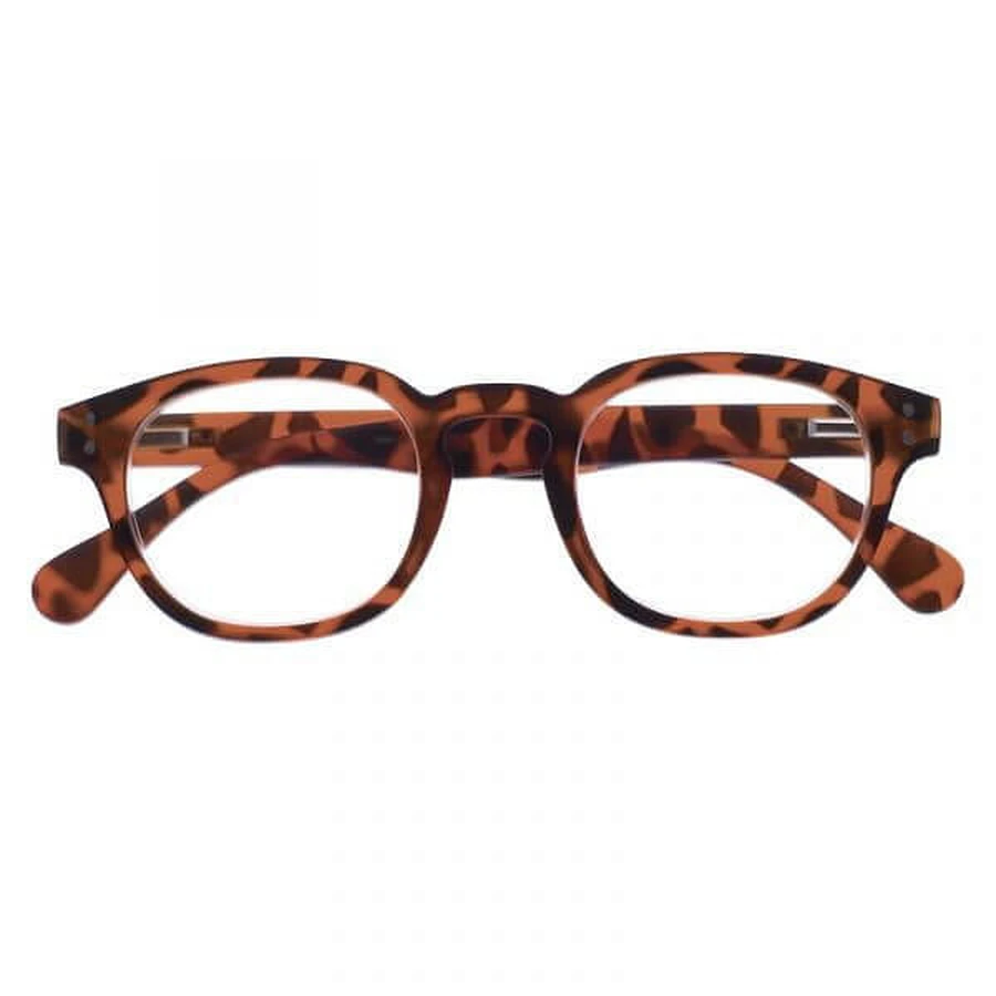 EVEREST TURTLE GLASSES +2.0