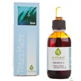 Erbex Propolis Moeder Tinctuur 50ml
