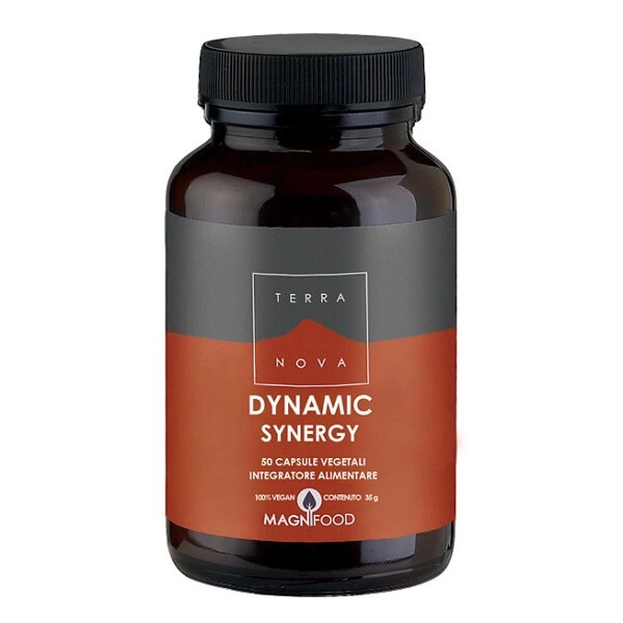 DYNAMISCHE SYNERGIE 50CPS TERRANOV