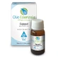 CAJEPUT ETHERISCHE OLIE 10ML