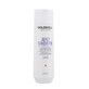 Goldwell Dualsenses Just Smooth Shampoo 250ml 