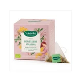 Filtroscrigno Wellness Mom Bio 15 Sachets