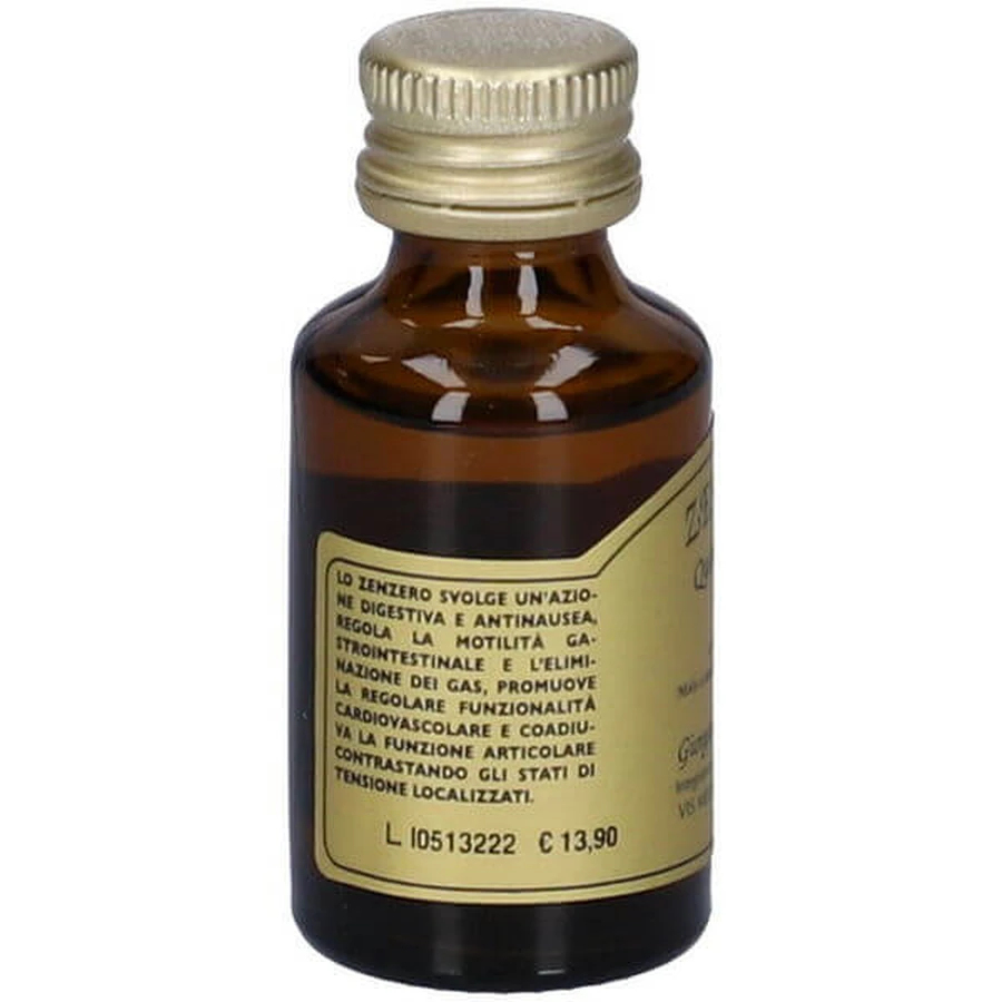 Ingwer Quintessenz Spray