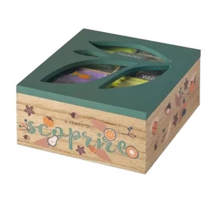 Neavita Juego de Caja de Madera Bio Green 4 Compartimentos 20 Tisanas Surtidas