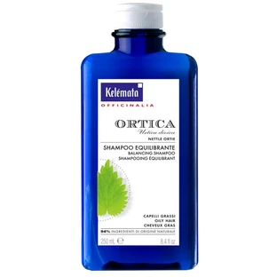 BRANDNETELSHAMPOO 250ML
