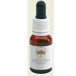 Kerstbel 15 ml