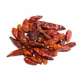 Cajenna Pepper Contused Fruits (capsicum) 10