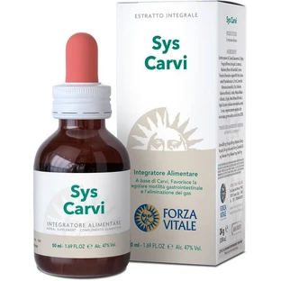 Sys Carvi druppels 50ml