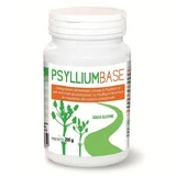 Psyllium-Basis-Pulver 200g