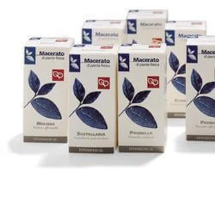 Potentilla 50ml Tm