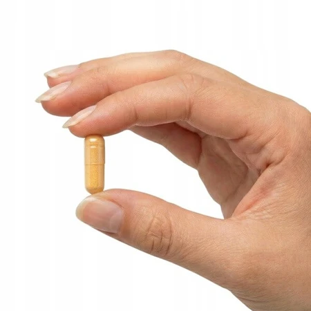 Medso B-Complex 100%, capsules, 100 pcs.
