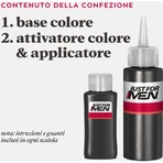 Just for men Shampoo kleuring h-30 bruin