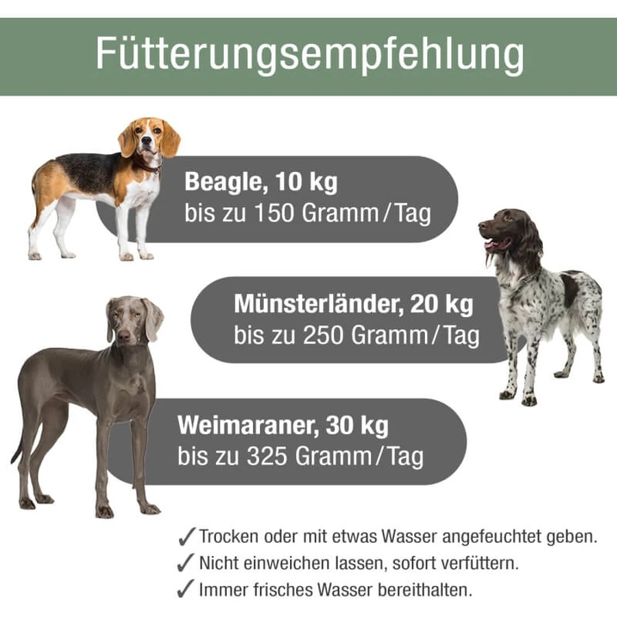 Platinum Adult al pollo - alimento completo per cani adulti 5 kg
