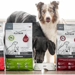 Platinum Adult al pollo - alimento completo per cani adulti 5 kg