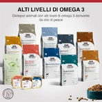 Dechra Heart &amp; kidney support (ckd) - dieetvoeding voor honden met hart- en nierfalen 2 kg