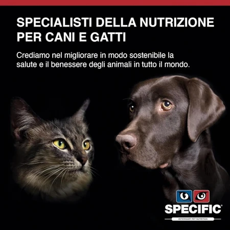 Dechra Heart &amp; kidney support (ckd) - dieetvoeding voor honden met hart- en nierfalen 2 kg