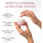Equilibra hyaluronic rose - anti-aging face cream 50 ml