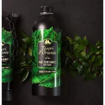 Tesori d'oriente Sandalo e vetiver - bagno crema aromatico 500 ml