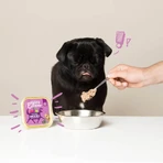 Edgard &amp; cooper Adult graanvrij wild en eend - natvoer voor volwassen honden 150 gr.