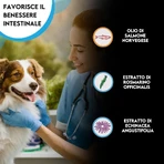 Zoma vet Zomavet visolie 93 zalm - aanvullend diervoeder voor immuniteit en ontstekingen 10 flesjes 10 ml