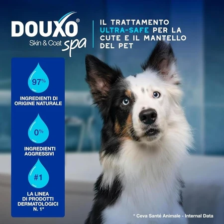 Ceva animal health Douxo spa skin &amp; coat - ceruminolytic ear cleanser 120 ml