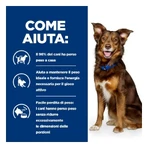 Hill's Prescription diet metabolic lamb and rice - alimento seco para perros adultos para el mantenimiento del peso 10 kg