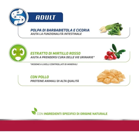 Natural trainer Daily nutrition adult fresh chicken - aliment complet pour chats adultes 3 kg