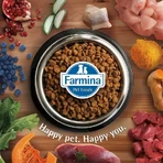 Farmina N&amp;d quinoa urinary duck, quinoa, blueberry &amp; chamomile - complete adult cat food for urinary tract 300 gr.