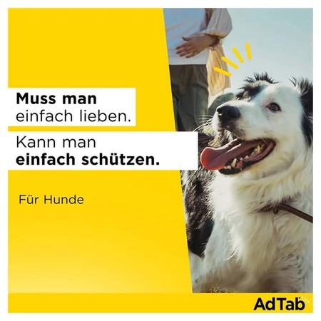 AdTab Hund 2,5 - 5,5 kg Kautablette 3 St